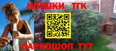 гидра Камышлов