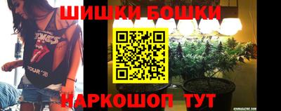 гидра Камышлов