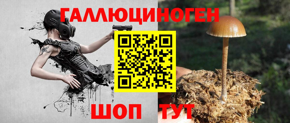 цены наркотик  Псилоцибиновые грибы Psilocybe  Вход с VPN  Саки 